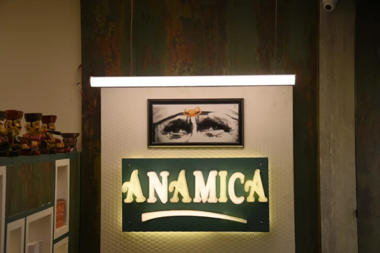 Anamica Salon and Academy Gurdaspur logo 2 768x512