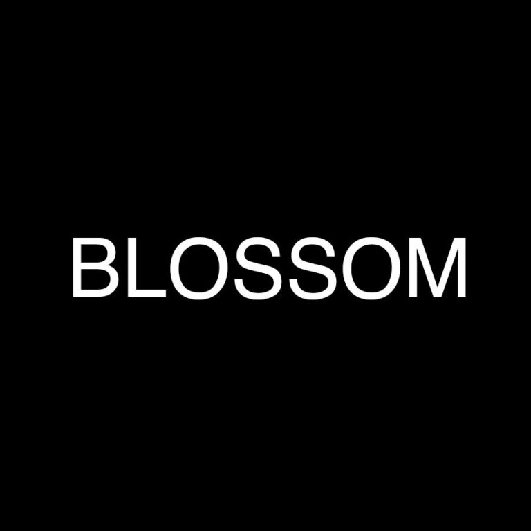 Blossom Salon Panchkula logp 768x768