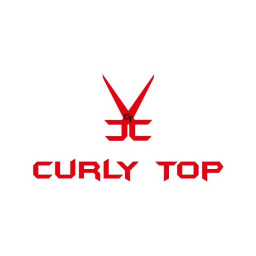 Curly top Hair Beauty Salon Kurukshetra logo