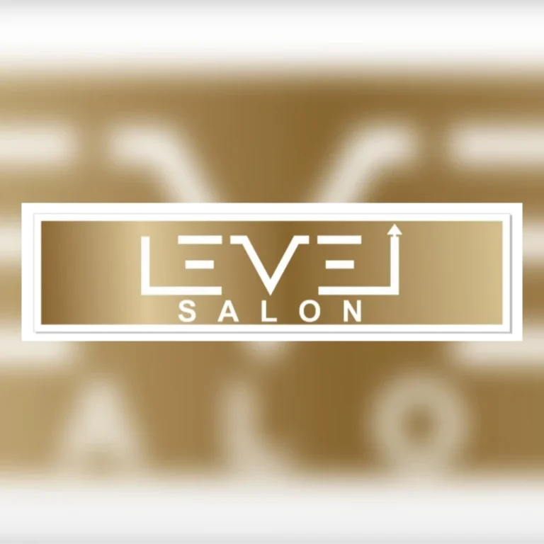 Level Salon Panchkula logo 768x768