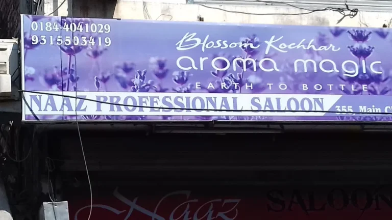 Naaz Professionals Salon Karnal profile image 768x432